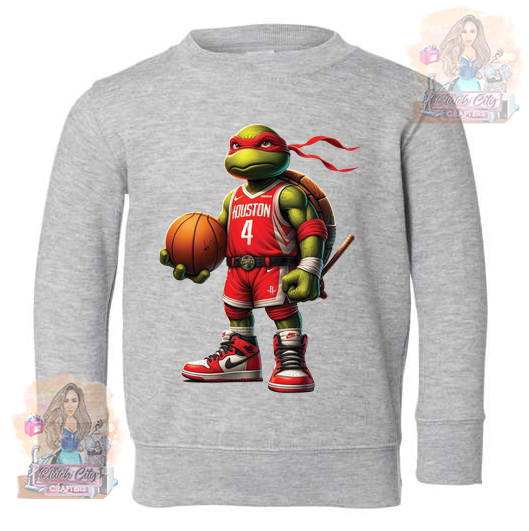 ROCKETS ninja turtle ASH sweater