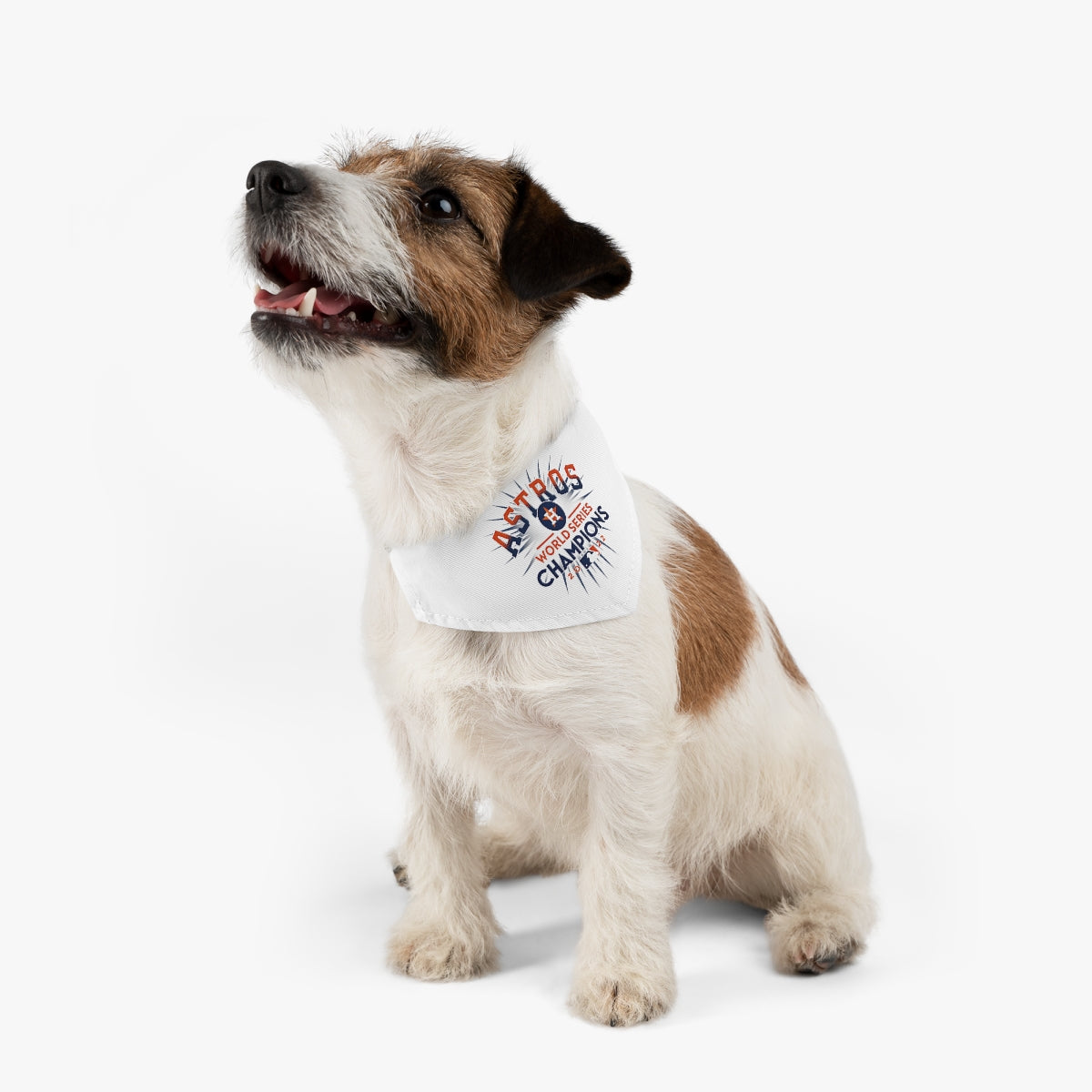 World Series Pet Bandana Collar